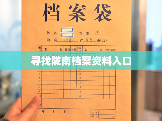 寻找陇南档案资料入口