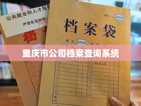 重庆市公司档案查询系统