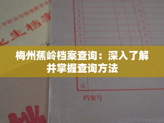 梅州蕉岭档案查询：深入了解并掌握查询方法