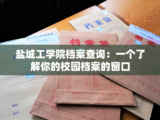盐城工学院档案查询：一个了解你的校园档案的窗口
