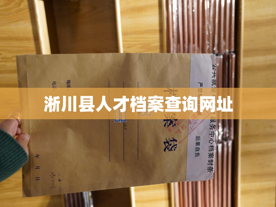 淅川县人才档案查询网址