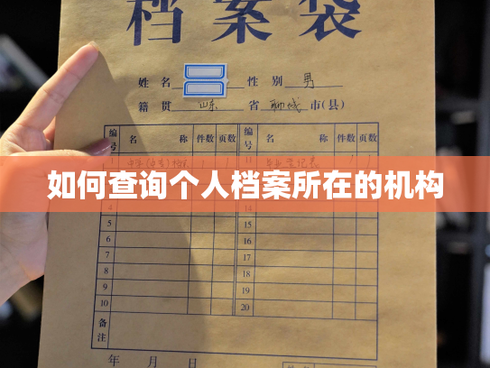 如何查询个人档案所在的机构
