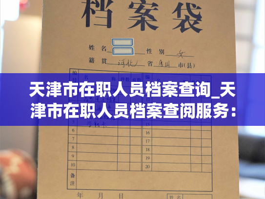 天津市在职人员档案查询_天津市在职人员档案查阅服务：快速、安全、有效