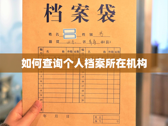 如何查询个人档案所在机构