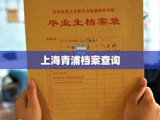 上海青浦档案查询
