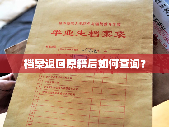 档案退回原籍后如何查询？