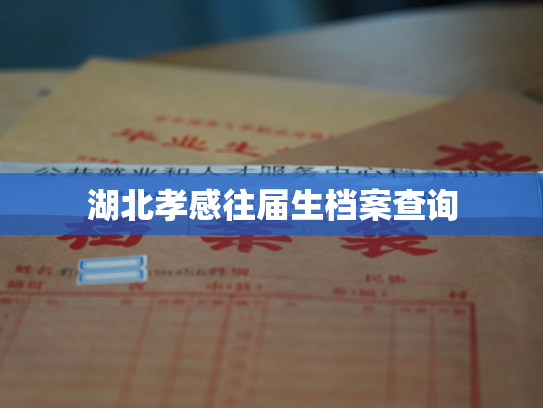 湖北孝感往届生档案查询