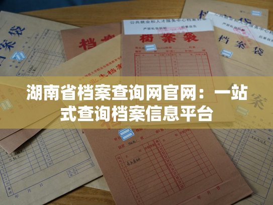 湖南省档案查询网官网：一站式查询档案信息平台