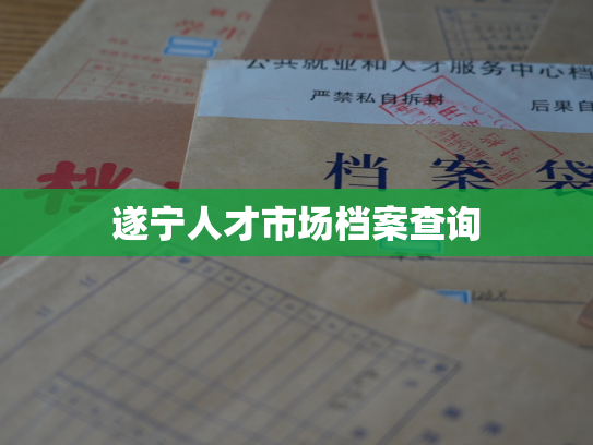 遂宁人才市场档案查询