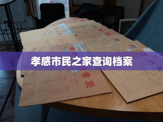 孝感市民之家查询档案