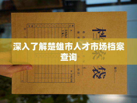 深入了解楚雄市人才市场档案查询