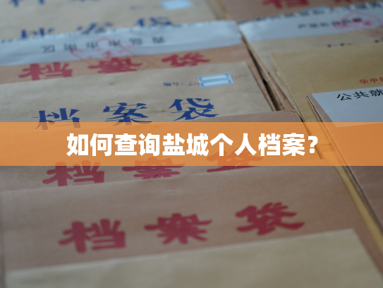 如何查询盐城个人档案？