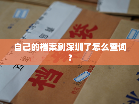 自己的档案到深圳了怎么查询？