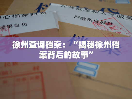 徐州查询档案：“揭秘徐州档案背后的故事”
