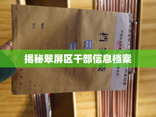 揭秘翠屏区干部信息档案