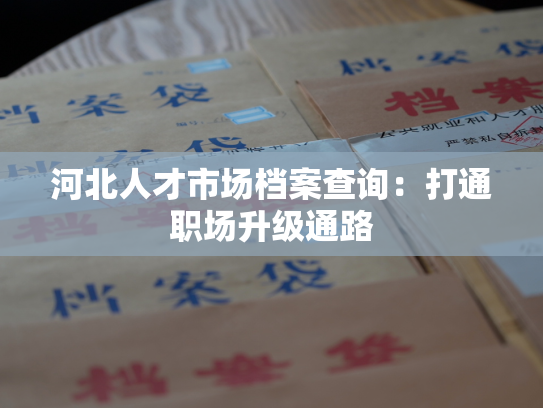 河北人才市场档案查询：打通职场升级通路