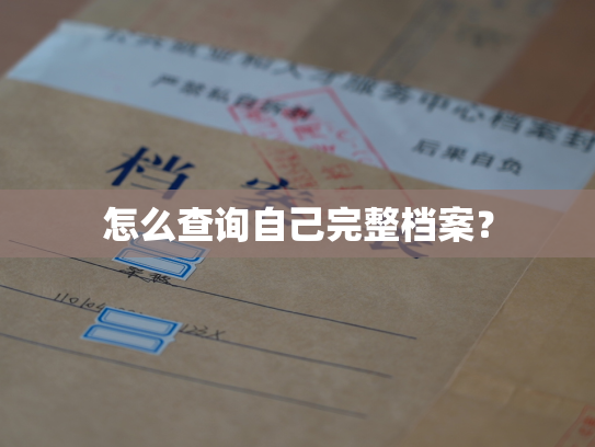 怎么查询自己完整档案？