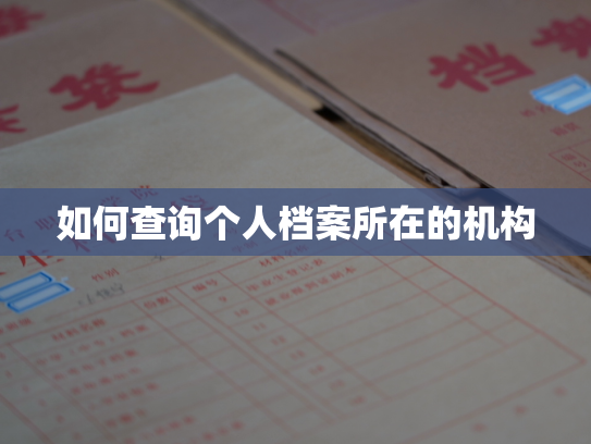 如何查询个人档案所在的机构