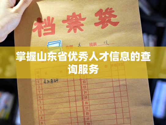 掌握山东省优秀人才信息的查询服务