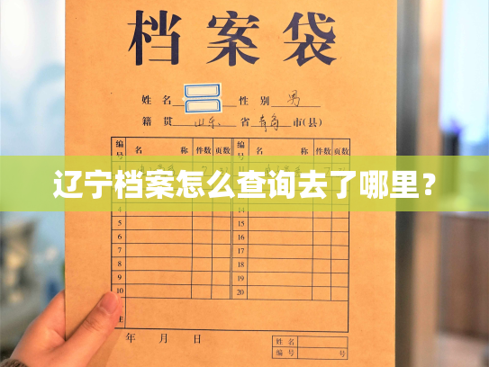 辽宁档案怎么查询去了哪里？