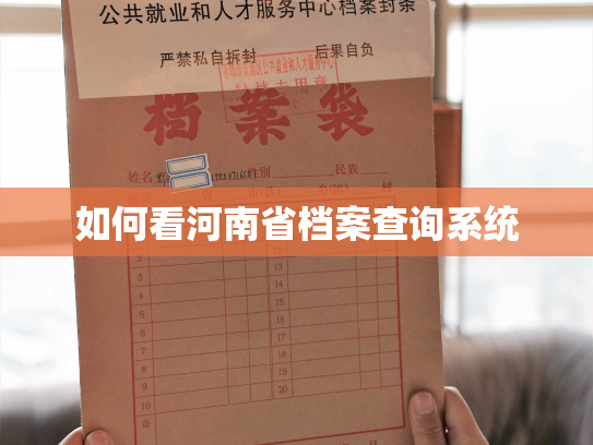 如何看河南省档案查询系统