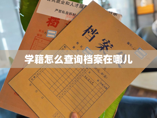 学籍怎么查询档案在哪儿