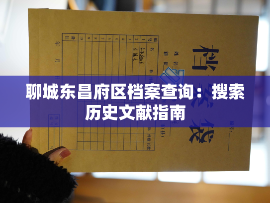 聊城东昌府区档案查询：搜索历史文献指南