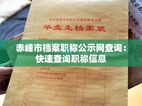 赤峰市档案职称公示网查询：快速查询职称信息