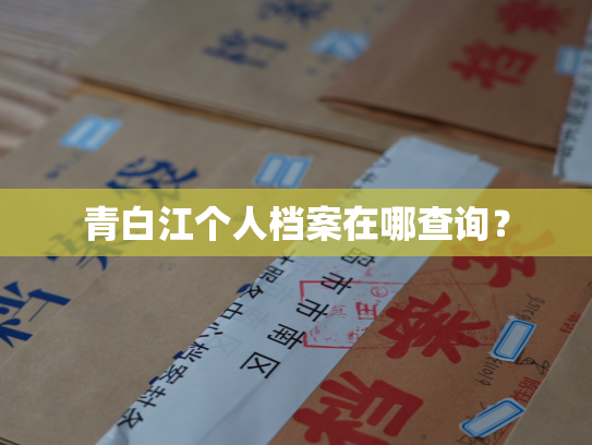 青白江个人档案在哪查询？