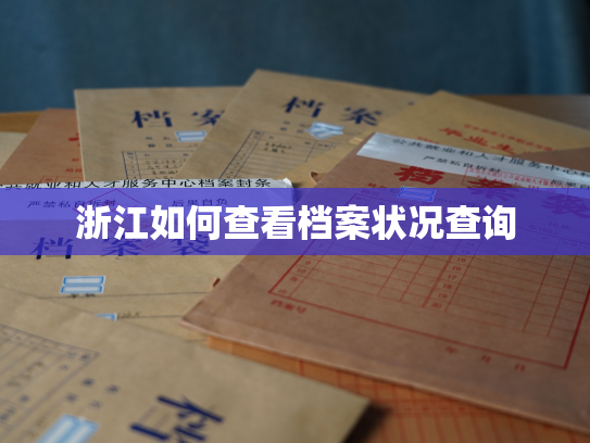 浙江如何查看档案状况查询