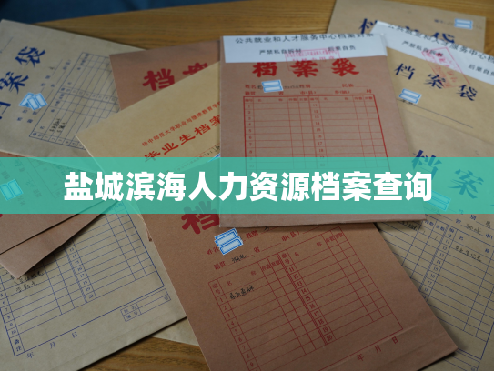 盐城滨海人力资源档案查询