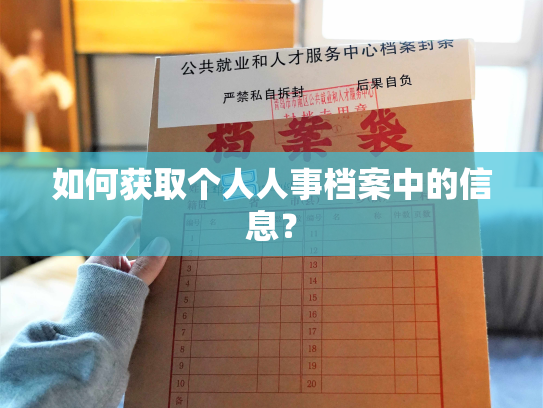 如何获取个人人事档案中的信息？