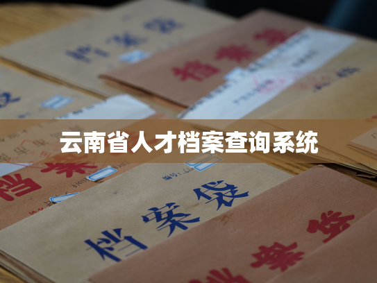 云南省人才档案查询系统