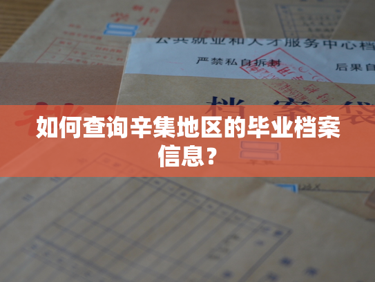 如何查询辛集地区的毕业档案信息？