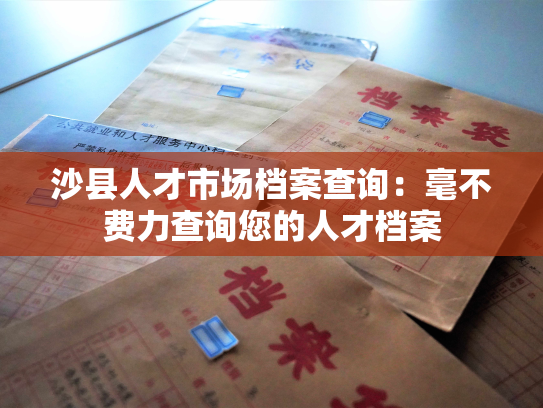 沙县人才市场档案查询：毫不费力查询您的人才档案