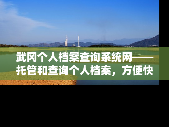 武冈个人档案查询系统网——托管和查询个人档案，方便快捷又私密