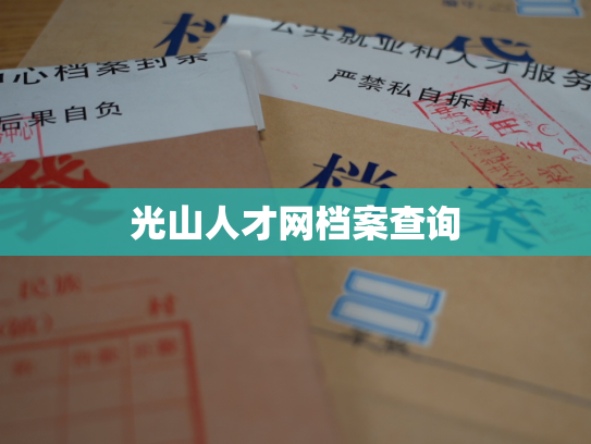 光山人才网档案查询