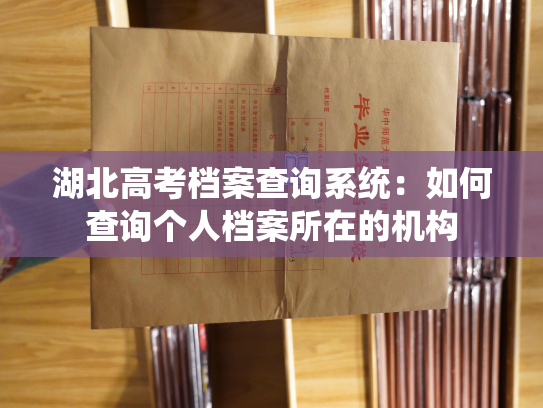 湖北高考档案查询系统：如何查询个人档案所在的机构