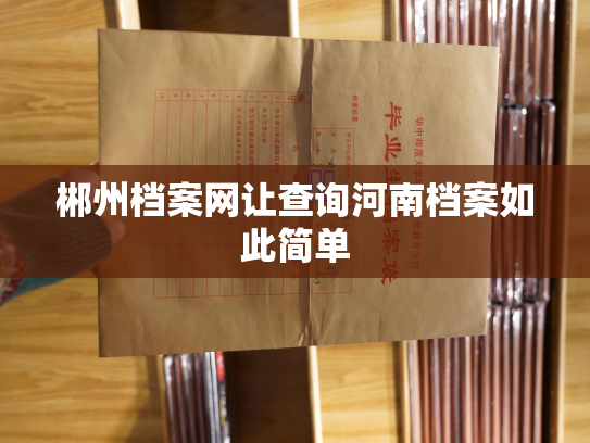 郴州档案网让查询河南档案如此简单