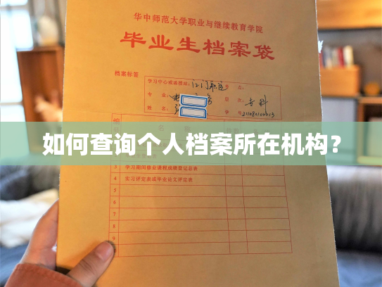 如何查询个人档案所在机构？