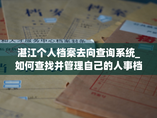 湛江个人档案去向查询系统_如何查找并管理自己的人事档案信息
