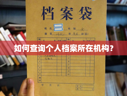 如何查询个人档案所在机构？