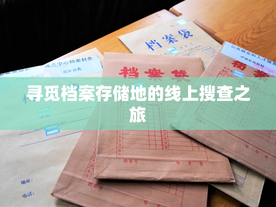 寻觅档案存储地的线上搜查之旅