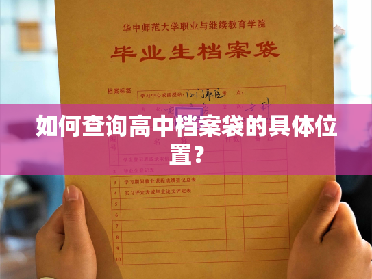 如何查询高中档案袋的具体位置？