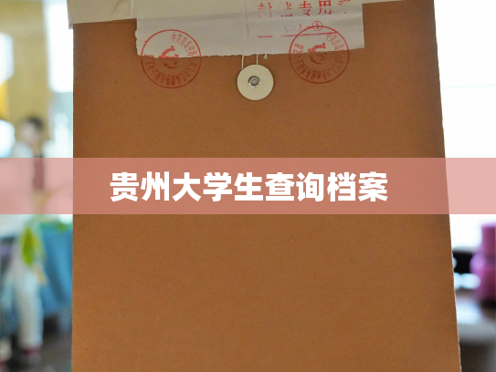 贵州大学生查询档案