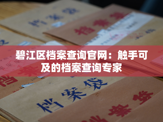 碧江区档案查询官网：触手可及的档案查询专家