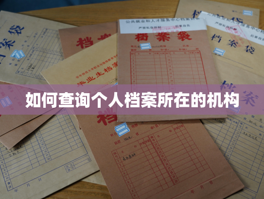 如何查询个人档案所在的机构