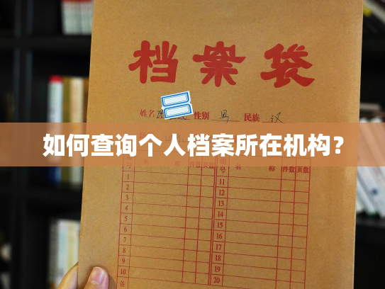 如何查询个人档案所在机构？