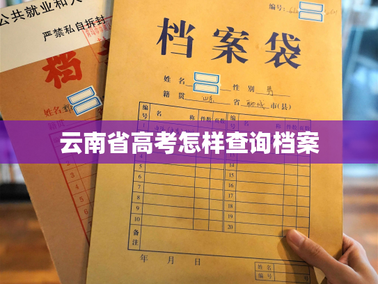 云南省高考怎样查询档案