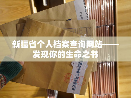 新疆省个人档案查询网站——发现你的生命之书